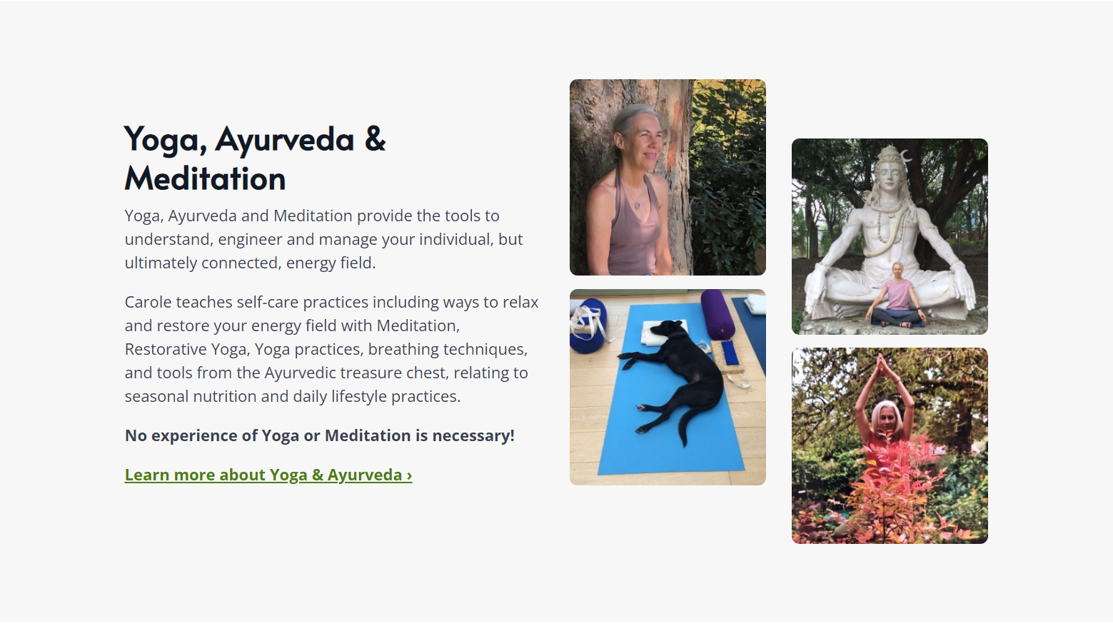 Carole Pearson website screenshot