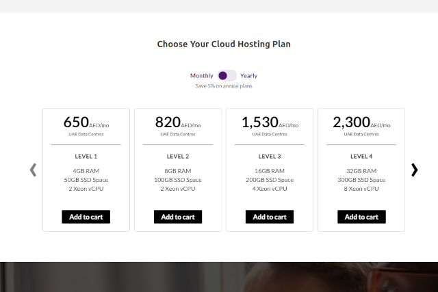 Tasjeel Hosting website screenshot