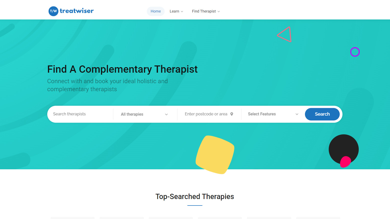 Treatwiser website screenshot